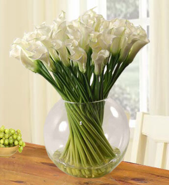 40 white Calla Lily in a Vase Elegant White Calla Lilies