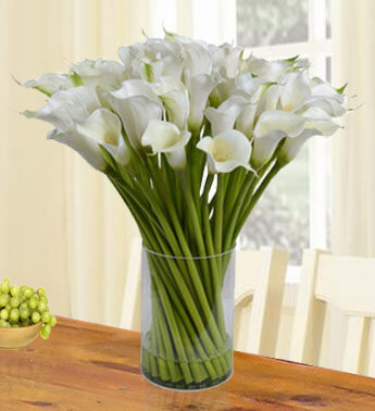 50 White Calla Lilies in a Glass Vase. Dramatic Beauty